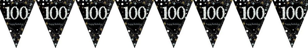 Sparkling Celebration 100 Prismatic Pennant Banner - Plastic - party supplies australia