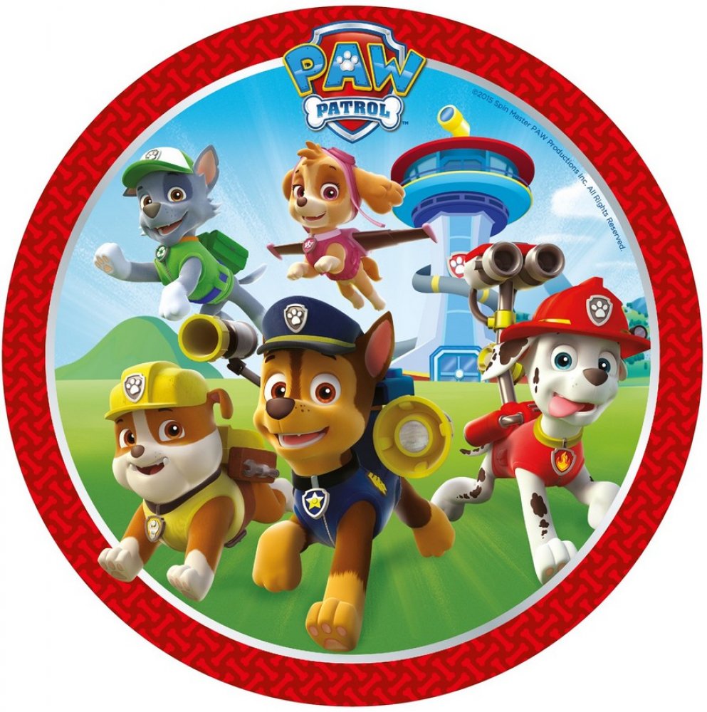 Paw PAtrol Party Pack Lunch Plate