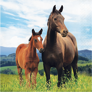Horse and Pony Lunch Napkins - party supplies australia