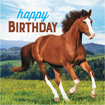 Horse and Pony Lunch Napkins Happy Birthday - party supplies australia