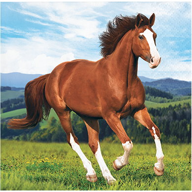 Horse and Pony Beverage Napkins - party supplies australia