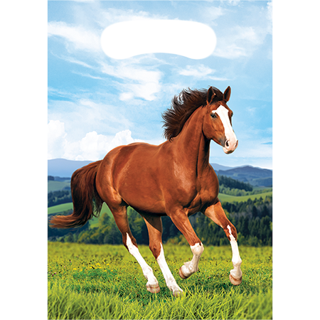 Horse and Pony Loot Bags Plastic 22cm x 16cm - party supplies australia