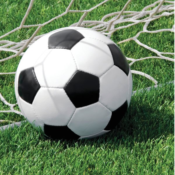 Soccer Fanatic Lunch Napkins - party supplies australia